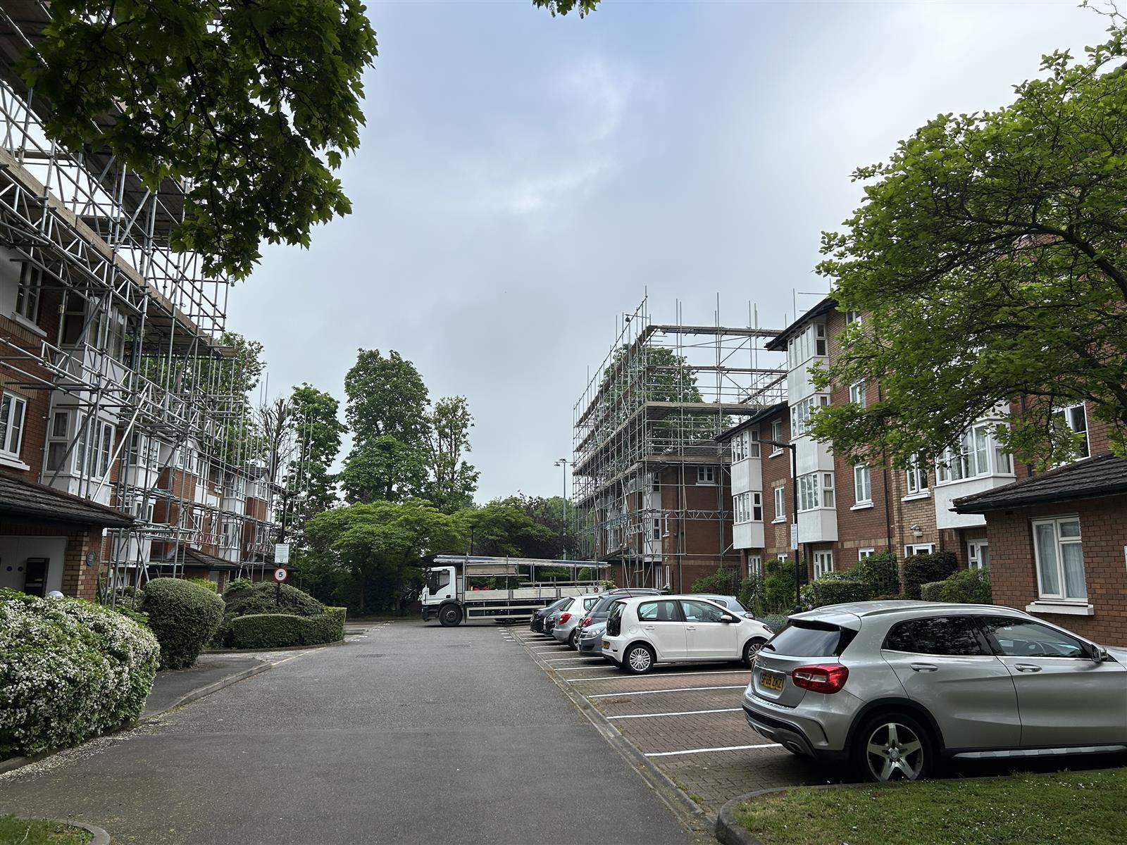 Beechwood1